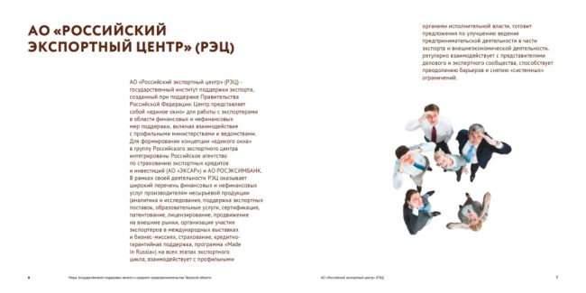 Меры государственной поддержки малого и среднего предпринимательства Тверской области