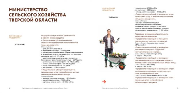 Меры государственной поддержки малого и среднего предпринимательства Тверской области